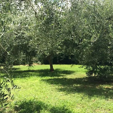 Campagna Toscana Presso Terme Apartament *