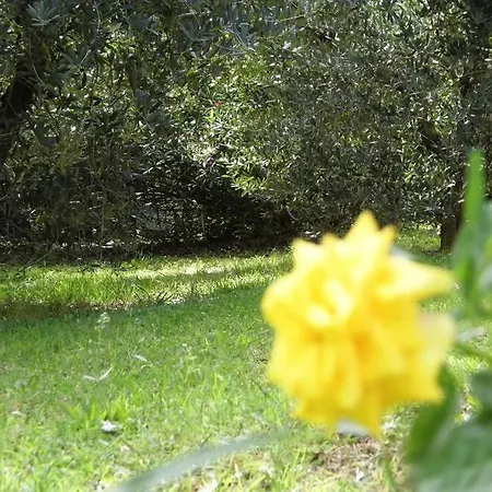 Campagna Toscana Presso Terme Apartment Lari
