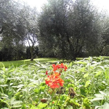 Campagna Toscana Presso Terme * Lari